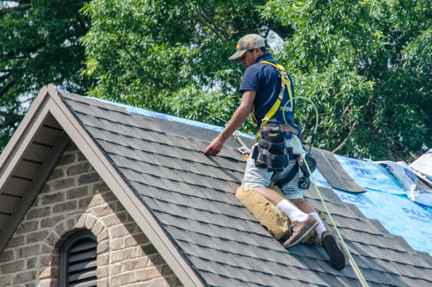 Best Commercial Roofing Services  in East Hazel Crest, IL